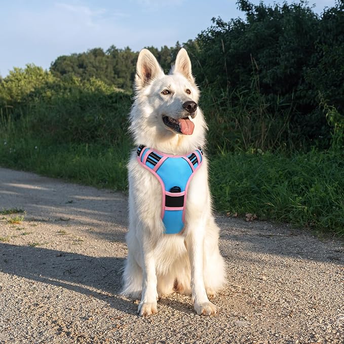 Eagloo Dog Harness for Large Dogs, No Pull Service Vest with Reflective Strips and Control Handle, Adjustable and Comfortable for Walking, No Choke Pet Harness with 2 Metal Rings, Pink & Blue, XL-PurrikoPets
