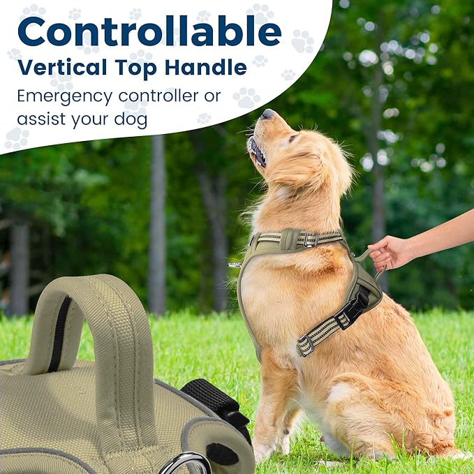 Funfox Dog Harness No Pull, Adjustable Pet Vest Harness, Super Soft Material with Vertical Handle Easy Control, Reflective Night Walking, 2 Leash Clips for Small Sized Dogs, Army Green, S-PurrikoPets