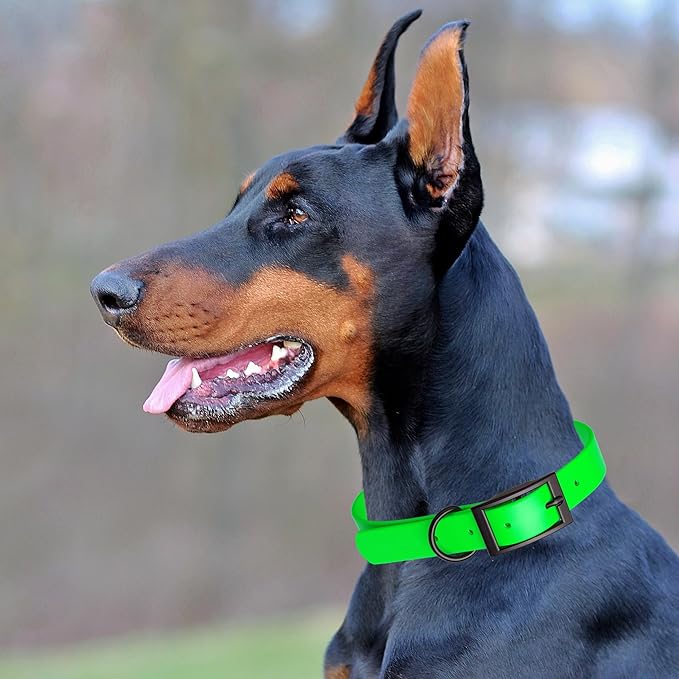 Dogline Biothane Waterproof Dog Collar Strong Coated Nylon Webbing with Black Hardware Odor- Proof for Easy Care Easy to Clean High Performance Fits Small Medium or Large Dogs, Tropical Green-PurrikoPets