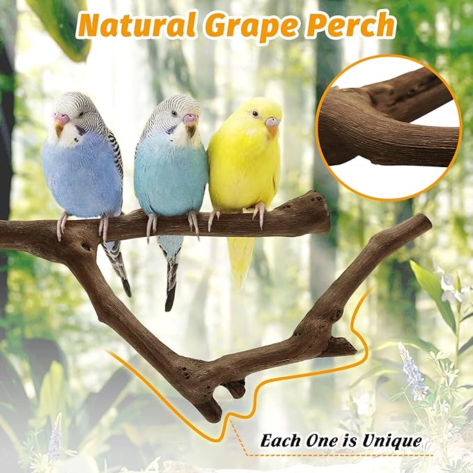 6Pcs Natural Wooden Bird Perch Grape Stick Claw Grinding Fork Bird Perching Branch Claw Grinding Stick Parrot Standing Platform Parrot Cage Chewing Accessories for Parrots Lovebirds Parakeets-PurrikoPets
