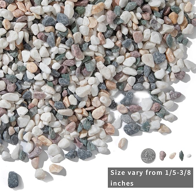 5lb Succulent and Cactus Gravel Pebbles 1/5-3/8 Inch Natural Decorative Polished Stones River Rocks for Plants, Vases, Aquariums, Terrarium and Outdoor Gardening, Mixed Color-PurrikoPets