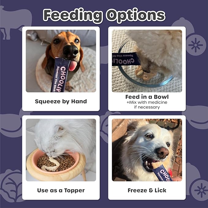 Grab & Go Squeeze Vita Stick Lickable Treats for Dogs & Cats. 49 Brain Support Sticks with Essential multivitamins. Soft and Tasty Paste for All Life Stages, Supporting Brain Health-PurrikoPets