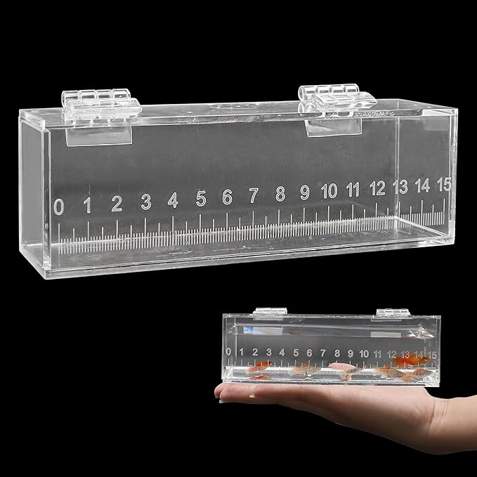 Fish Viewing Box Container with Lid and Scale, Acrylic Portable Fishing Mini Aquarium, Small Fish Breeder Hatching Boxes, Safe Tank Case for Breeding Egg Photo Isolation Outdoor Indoor-PurrikoPets