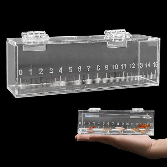 Fish Viewing Box Container with Lid and Scale, Acrylic Portable Fishing Mini Aquarium, Small Fish Breeder Hatching Boxes, Safe Tank Case for Breeding Egg Photo Isolation Outdoor Indoor-PurrikoPets