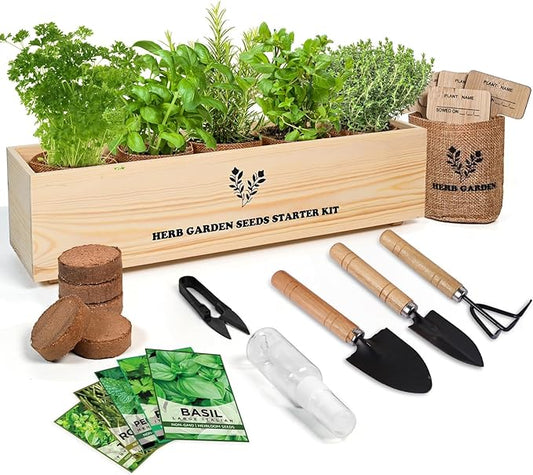 5 Herb Seeds Garden Starter Kit with Complete Planting Kit & Wooden Flower Box, Growing into Basil, Parsley, Rosemary, Thyme, Mint for Kitchen Windowsill Herb Garden DIY-PurrikoPets
