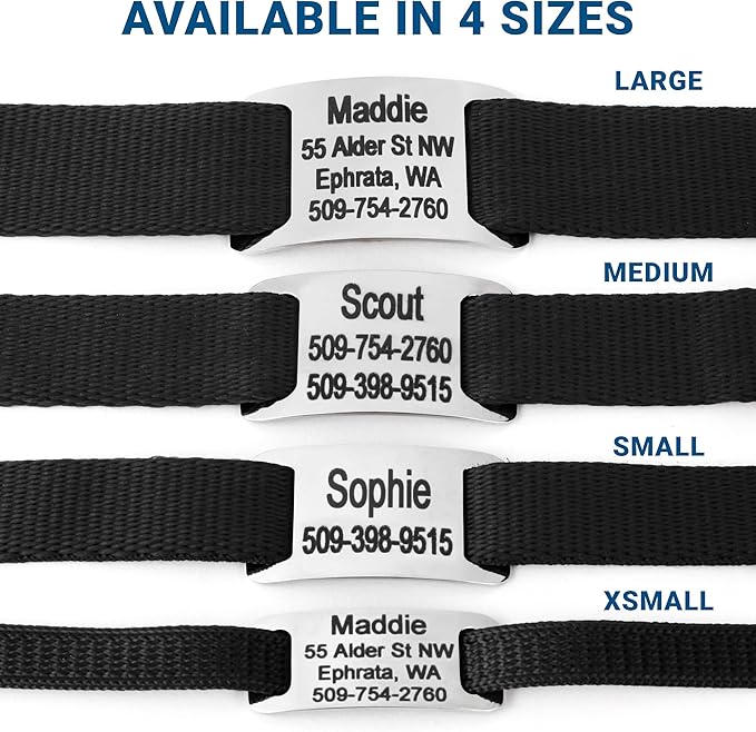 GoTags Personalized Dog Collar with Nameplate, Adjustable Dog Collar with Custom Engraved Slide On Pet ID Tag in Stainless Steel, Silent, No Noise Dog Tag for Large Medium and Small (Black, Small)-PurrikoPets