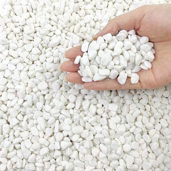 10LB Natural Succulent Gravel Decorative White Rocks - 3/8'' Small White Pebbles for Plants, Decorative Stones, Succulent Rocks Pebbles for Planter, Aquarium Pea Gravel for Landscaping-PurrikoPets