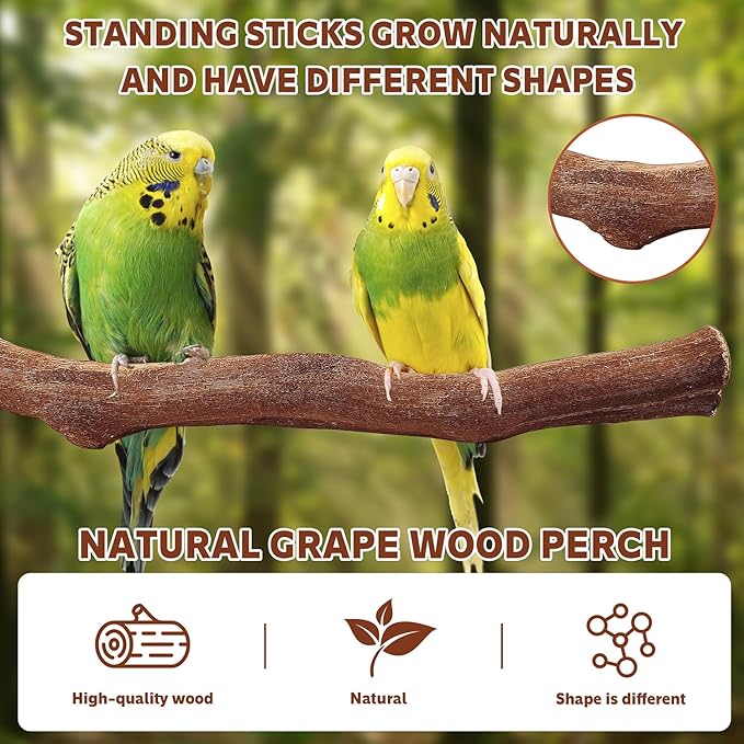 5PCS Bird Perch Stand Natural Wooden Parrot Stand Branch,3 Grape Wood Perch,2 Platform,Paw Grinding Fork Parakeet Chewing Stick Exercise Training Branches for Cockatiels,Small Birds-PurrikoPets