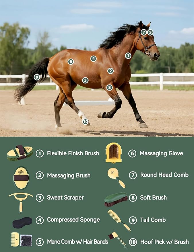 11PCS Horse Grooming Kit Curry Comb Sweat Scraper Horse Bathing Supplies Grooming Tools with Storage Bag Pasture Glow-PurrikoPets