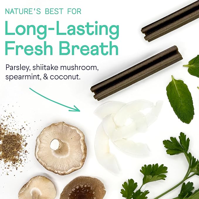 Finn Plaque Patrol Dental Chews | Triple-Action Defense Against Plaque, Tartar, and Bad Breath | for Medium/Large Dogs, 25+ lbs-PurrikoPets