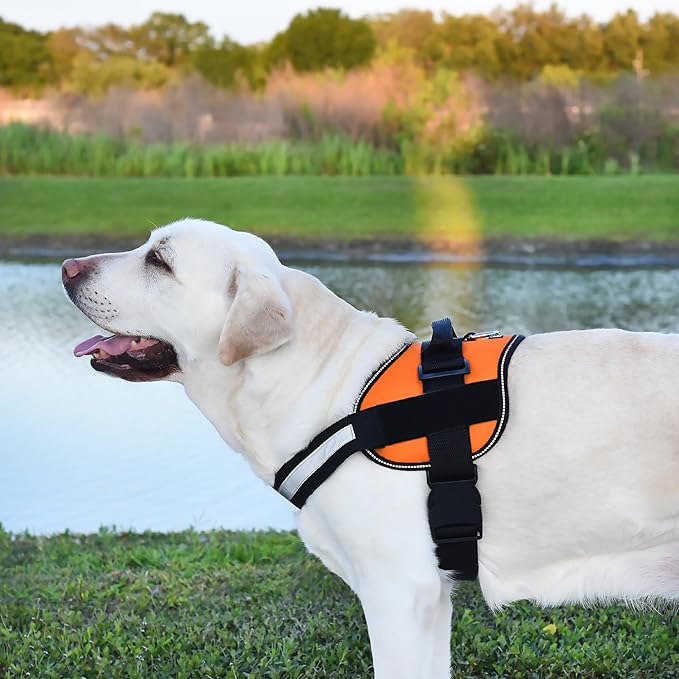 Dogline Dog Harness, Reflective No-Pull Adjustable Vest with Handle for Walking, Training, Breathable, No - Choke Harness for Small, Medium or Large Dogs Room for Patches Girth 15 to 18 in Orange-PurrikoPets