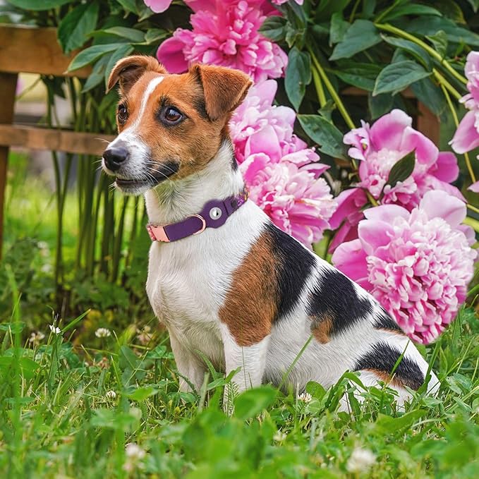 AirTag Dog Collar for Small Medium Large Breed - Adjustable Cute Pattern Dog Collar with Airtag Holder - Soft Leather Tracker GPS Apple Air Tag Pet Collars (X-Small, 9"-12" Neck Fit, Peonies)-PurrikoPets