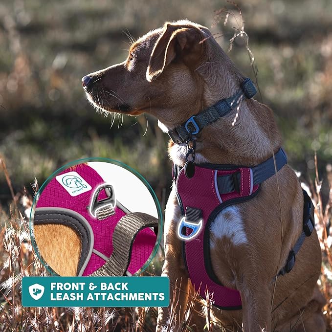 Embark Adventure Dog Harness, Reflective Trim No Pull Dog Harness for Large Dogs - Military Grade Nylon, Front Clip with Gel Lined Handle.-PurrikoPets