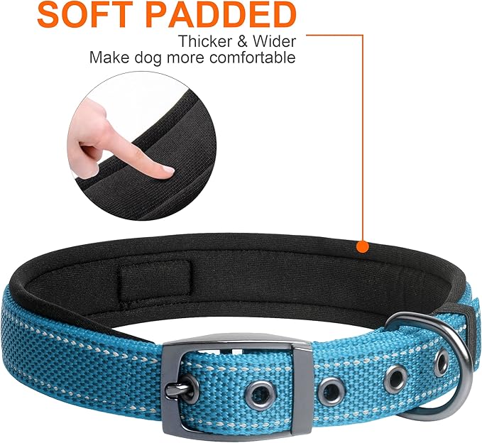 Fida Heavy Duty Dog Collar, Ultra Comfortable Soft Neoprene Padded, Adjustable Reflective Nylon Pet Collar with Durable Metal Belt Buckle for Small Breeds (S, Blue)-PurrikoPets