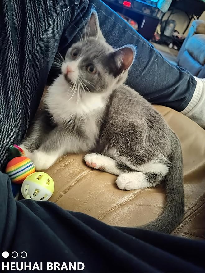 10-Pack Cat Toy Balls with Bells for Kittens and Cats (1.5'' - 2.2'', Cat Toys Mega Set)-PurrikoPets