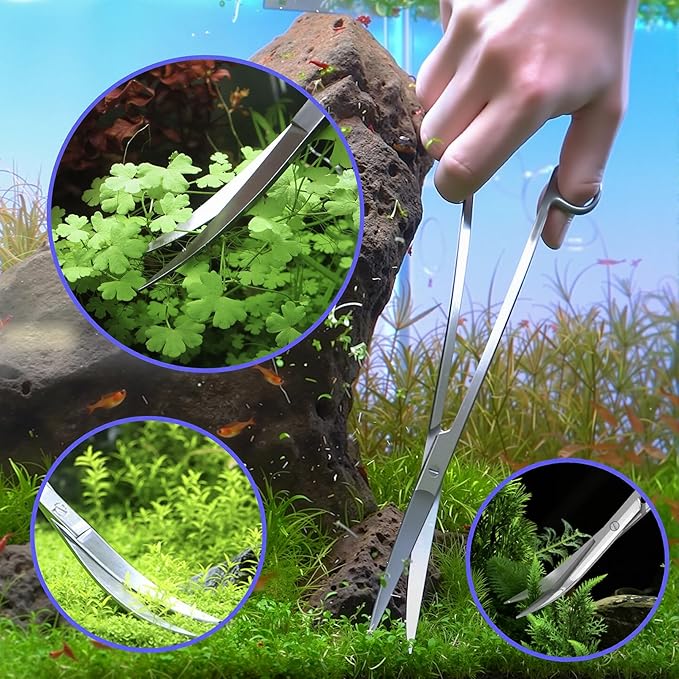 5 Pcs Reptile Feeding Tools Set with Silicone Tips - Extra Long Straight&Curved Tongs, Spoons, Scissors - Stainless Steel Terrarium Feeder Kit for Bearded Dragons, Lizards, Snake, Spiders, Aquarium-PurrikoPets