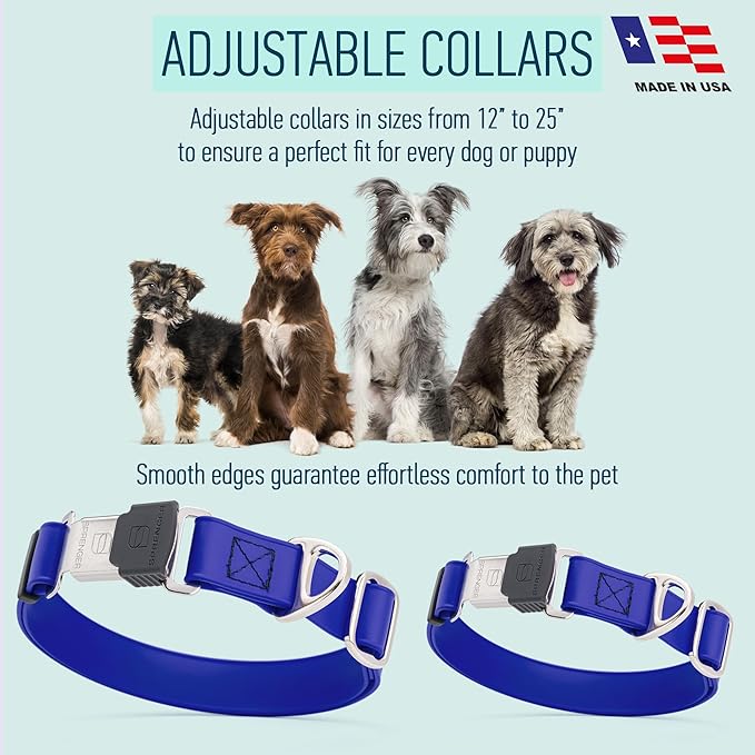 Dogline Biothane Waterproof Dog Collar with Herm Sprenger Stainless Steel Quick Release Buckle – Heavy Duty Tactical Durable Collar for Dogs – Comfortable and Safe Pet Collar W 3/4" L 12-19" Blueberry-PurrikoPets