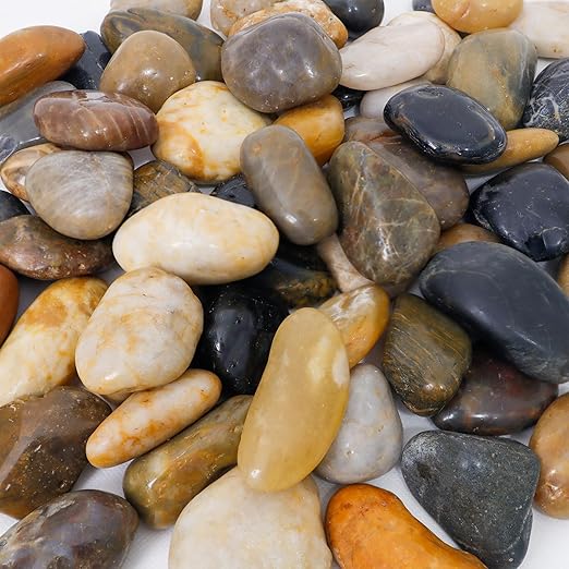 18LB 1"-2" Decorative River Rocks for Plants, Polished Pebbles for Garden Landscaping, Planters, Aquariums, Vase Fillers – Indoor & Outdoor Decor-PurrikoPets