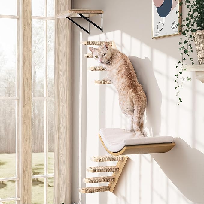 4-Piece Cats Wall Furniture with Cat Window Perch – Wood Wall Mounted Cat Shelves Set with Foam-Padded Curved Bed, Flat Perch & 4-Step Cats Stairs-PurrikoPets