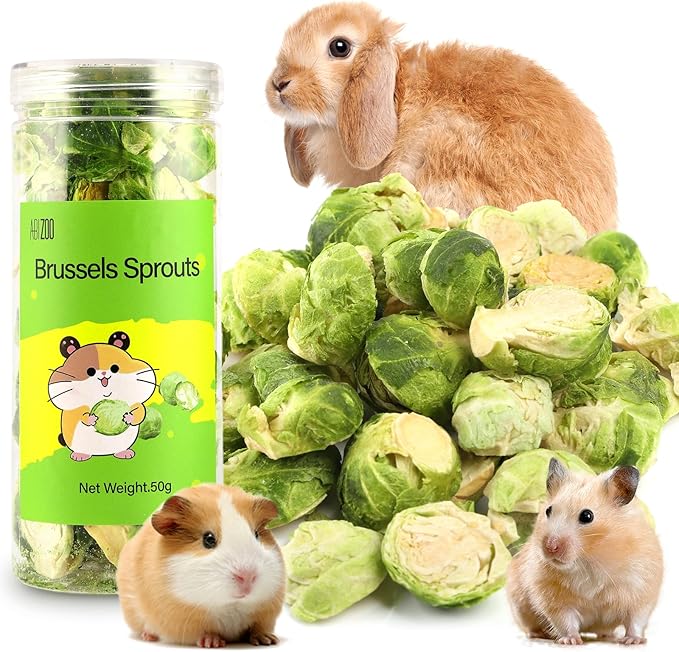 Abizoo Freeze Dried Brussels Sprouts Rabbit and Hamster Chew Treats Resealable Jar for Hamsters Bunny Guinea Pigs Groundhogs Natural Fiber Vitamin Snacks-PurrikoPets
