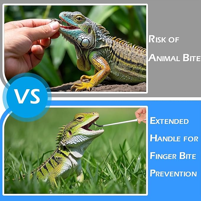 4PCS-Rubber Tip Feeding Tongs for Reptiles Extra Long Stainless Steel Reptile Feeding Tongs Terrarium Tools Feeder for Lizards Bearded Dragon Snake Enclosure Tank Accessories-PurrikoPets