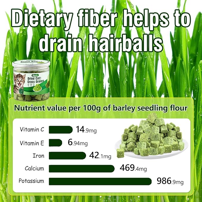 50g Cat Grass Teething Treat, Delicious Cat Grass Teething Snack Edible Cats Chew Toy for Teeth Cleaning and Hairball Removal-PurrikoPets