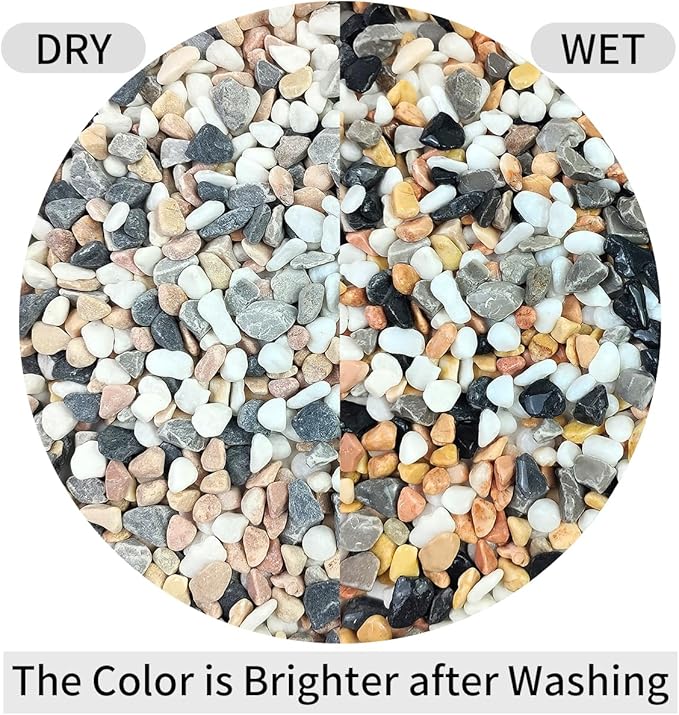 5 lbs Succulent and Cactus Pebbles for Indoor Plants, 3/8 Inch Pea Gravel Decorative River Rocks for Plants, Vases, Terrarium, Aquarium, Potted Top Dressing and Outdoor Landscaping Stones-PurrikoPets