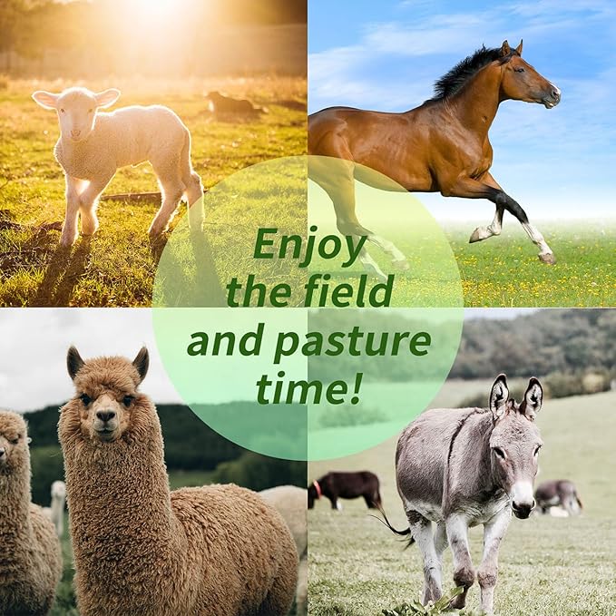 17-Inch Equine Ball for Play & Training - Anti-Burst, Mega Horse Soccer Ball for Goat, Donkey-PurrikoPets