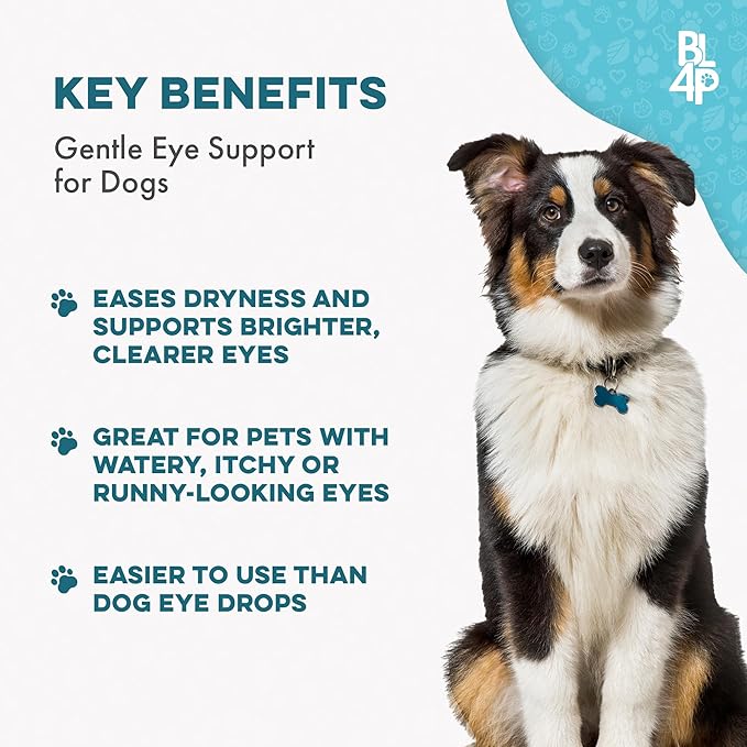 Dog Eye Care & Infection Treatment, Natural Dog Supplements for Conjunctivitis, Swelling, Dry Eyes and Discharge, Easy to Use, No More Struggle with Canine Drops, 400 Small Pills-PurrikoPets