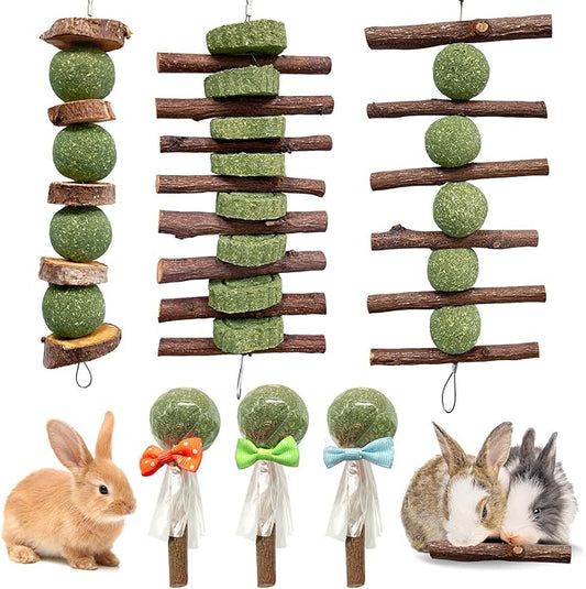 3 Pcs Bunny Chew Toys with 3 Pcs Rabbit Chew Lollipop for Teeth Grinding, Improve Dental Health, Treats for Rabbits Guinea Pigs Chinchillas Bunnies Hamsters-PurrikoPets