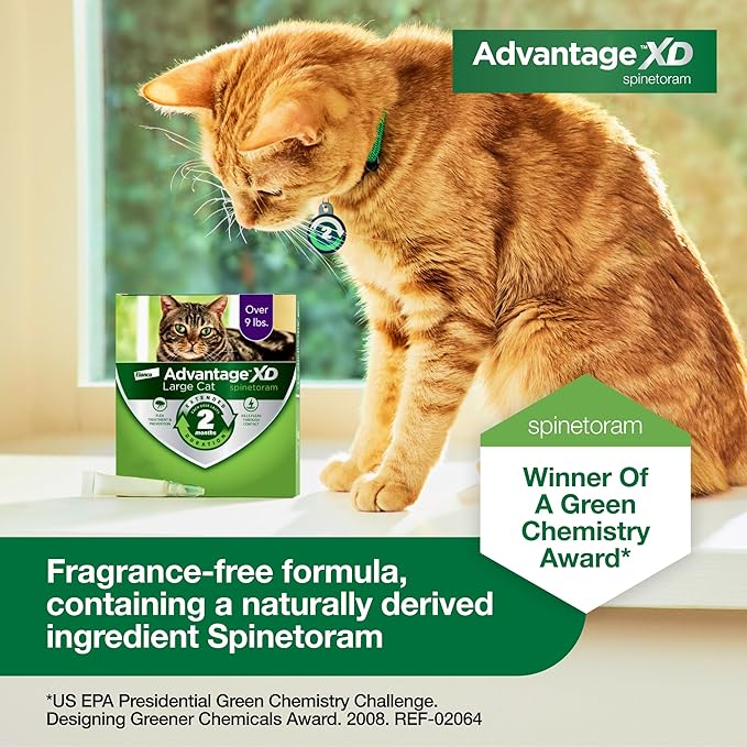 Advantage XD Large Cat Flea Prevention & Treatment For Cats over 9lbs. | 2-Topical Doses, 2-Months of Protection Per Dose-PurrikoPets