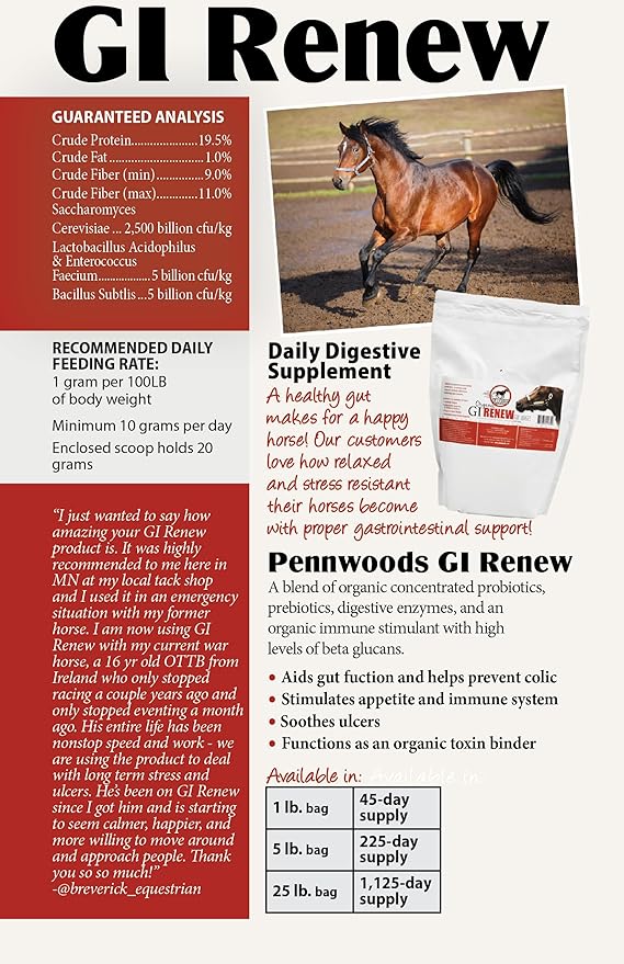GI Renew, Probiotics for Equine, Immune and Appetite Stimulation, Prebiotics, Digestive Enzymes | Horse Supplement Providing Ulcer Relief and Organic Toxin Binder, 5 LB Pouch-PurrikoPets