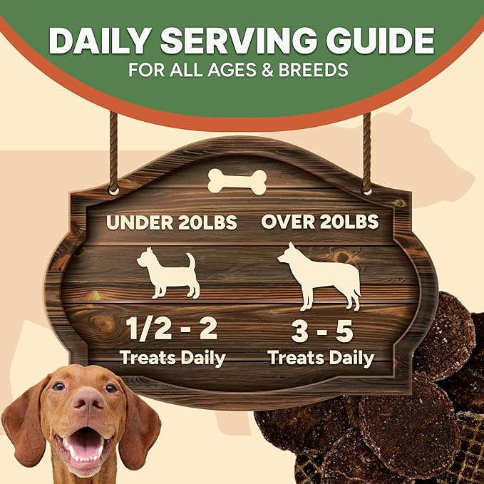 Gaines Family Farmstead Beef Chips for Dogs – 6 oz, Natural Single-Ingredient Dog Treats, High-Protein Rawhide-Free Chews, Healthy Grain-Free Snacks, Made in USA-PurrikoPets