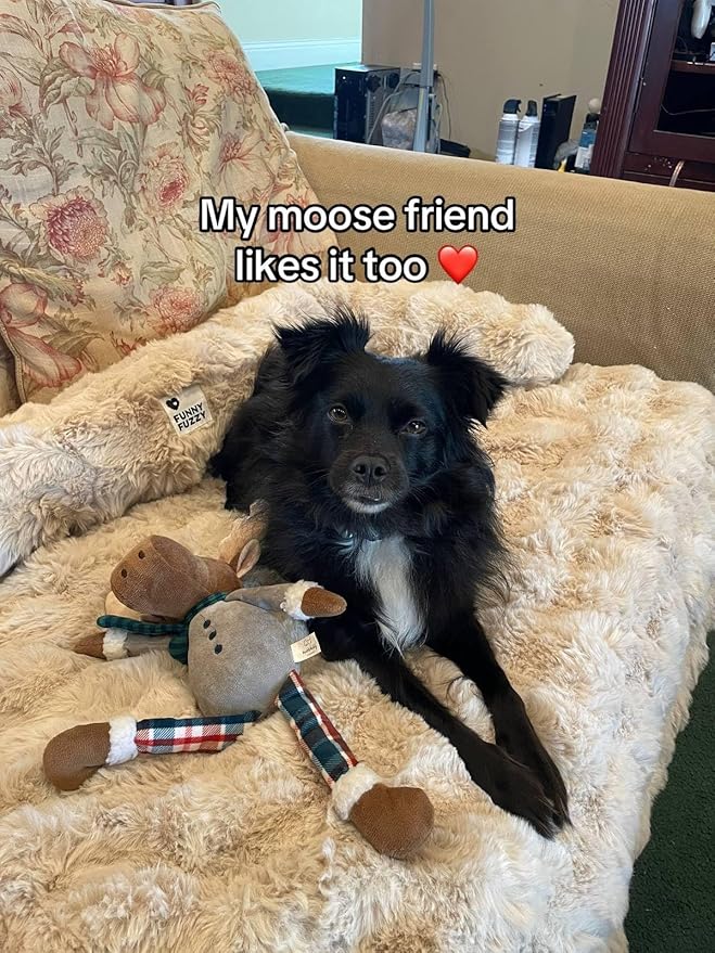 FUNNY FUZZY Pet Fluffy Fuzzy Couch Cover, Calming Washable Dog Bed Sofa Protector Pets Mat for Small Medium Dogs and Cats (Coffee,33.45 × 28.35 × 5.51 in)-PurrikoPets