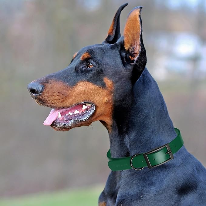 Dogline Biothane Waterproof Dog Collar Strong Coated Nylon Webbing with Black Hardware Odor- Proof for Easy Care Easy to Clean High Performance Fits Small Medium or Large Dogs, Hunter Green-PurrikoPets