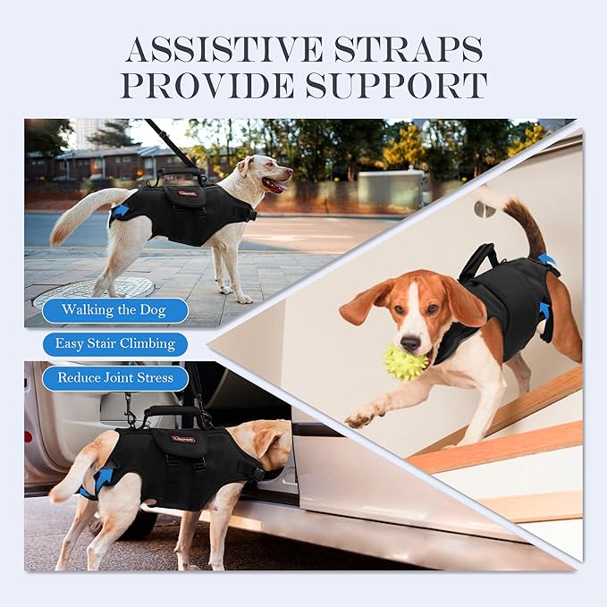 Dog Lift Harness, Full Body Support with Adjustable Control Handle for Medium Senior Dogs, Post-Surgery Recovery & Joint Problems (Oxford Cloth, M)-PurrikoPets