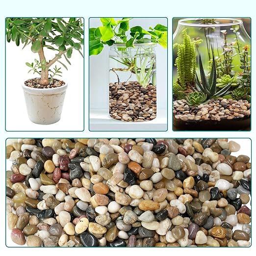 5 lbs Pebbles for Indoor Plants, Vase, Succulent, 3/8" Gravel for Plants, Pots Indoor, Bamboo Rocks for Bamboo Plants, Decorative Small River Rock, Highly Polished-PurrikoPets