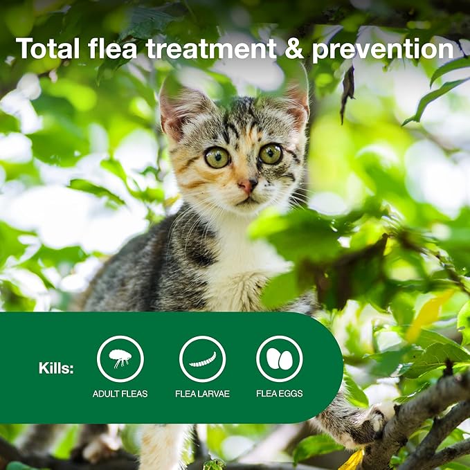 Advantage II Kitten Vet-Recommended Flea Treatment & Prevention | Cats 2-5 lbs. | 2-Month Supply-PurrikoPets