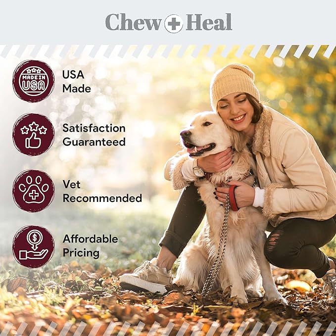 Dog Skin and Coat Supplement -360 Soft Chew Omega Treats for Skin Allergies -Salmon Oil Blend of Essential Fatty Acids, Omega 3, 6, Vitamins, Minerals -Made in USA (2 Packs of 180, Lamb Flavor)-PurrikoPets