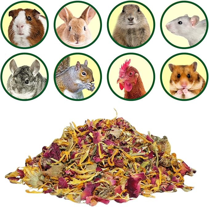 Exotic Nutrition Flower Treat 3 Pack - Healthy Assortment - Hibiscus, Calendula, Rose - for Squirrels, Guinea Pigs, Rabbits, Chinchillas, Prairie Dogs, Degus, Hamster, Gerbils, & Other Herbivores-PurrikoPets