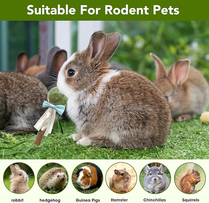 18-Pack Natural Alfalfa & Apple Wood Chew Lollipops for Small Pets - Healthy Dental Toys for Hamsters, Rabbits, Guinea Pigs, Chinchillas-PurrikoPets