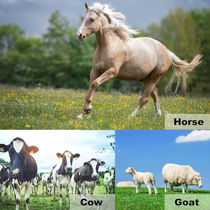 1112 Temp 11pcs Farrier Tools Farrier kit Horse shoeing Tools Farrier Supplies Farrier Tools for Horses Cattle Sheep and Donkeys-PurrikoPets