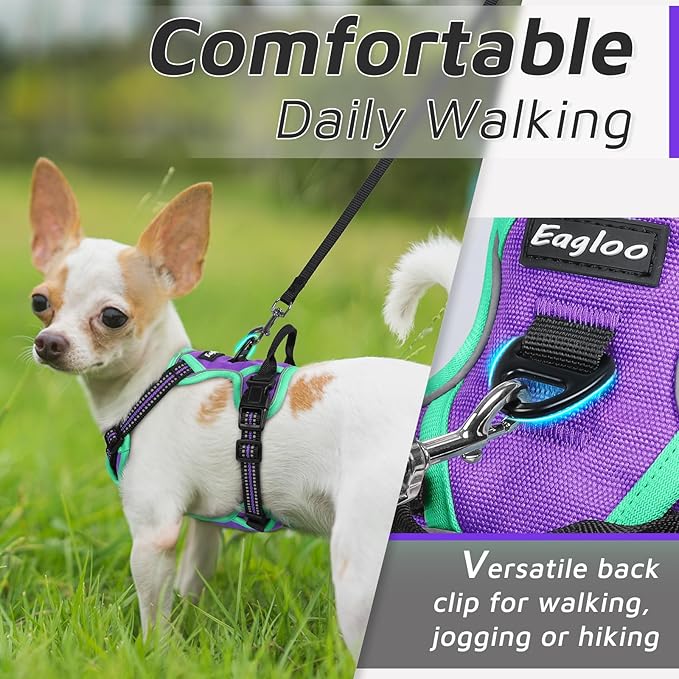 Eagloo Small Dog Harness No Pull, Service Vest with Reflective Strips and Control Handle, Adjustable and Comfortable for Walking, No Choke Pet Harness with 2 Metal Rings, Purple & Green, XS-PurrikoPets