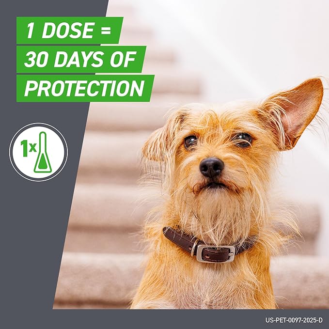 Frontline Plus for Dogs Large Dog (45 to 88 pounds) Flea and Tick Treatment, 6 Doses-PurrikoPets