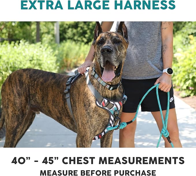 Embark Adventure Dog Harness, Reflective Trim XL for Extra Large Dogs No Pull - Military Grade Nylon, 2 Leash Clips & Gel Lined Handle. Soft & Padded Puppy Dog Harnesses for Any Breed-PurrikoPets