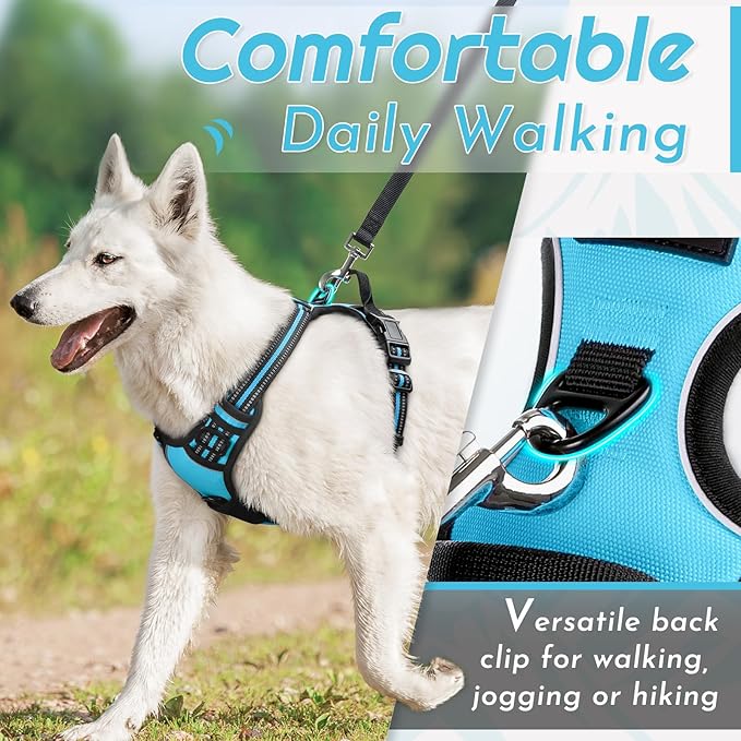 Eagloo Dog Harness Small Sized Dog, No Pull Service Vest with Reflective Strips and Control Handle, Adjustable and Comfortable for Easy Walking, No Choke Pet Harness with 2 Metal Rings, Sky Blue, S-PurrikoPets