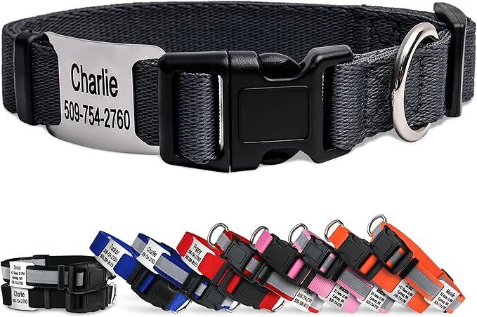 GoTags Personalized Dog Collar with Nameplate, Adjustable Dog Collar with Custom Engraved Slide On Pet ID Tag in Stainless Steel, Silent, No Noise Dog Tag (Charcoal, Medium)-PurrikoPets