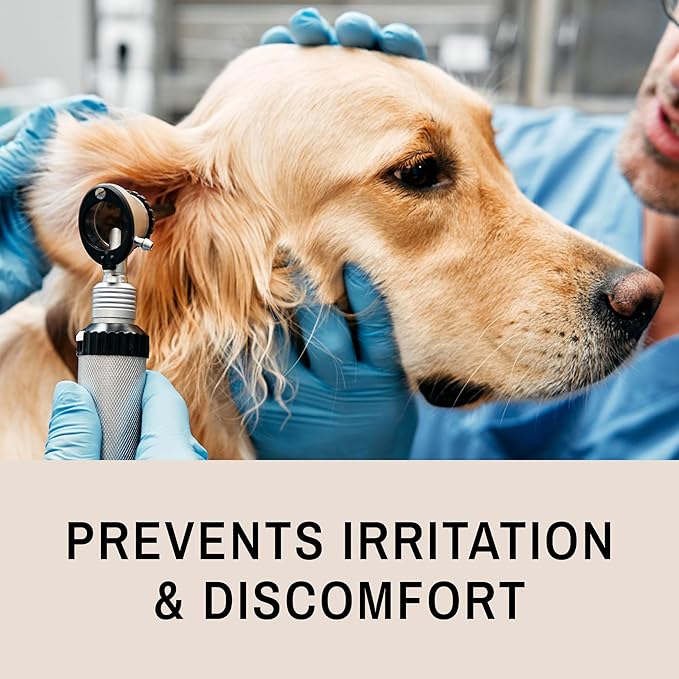 Eye Envy Fresh Ear Cleaning Wipes for Dogs. Made in The USA from Natural Ingredients. Unscented. Prevents Infections. Safe and Non-Irritating. Removes Dirt, Debris, and Wax buildup. 60 Count.-PurrikoPets