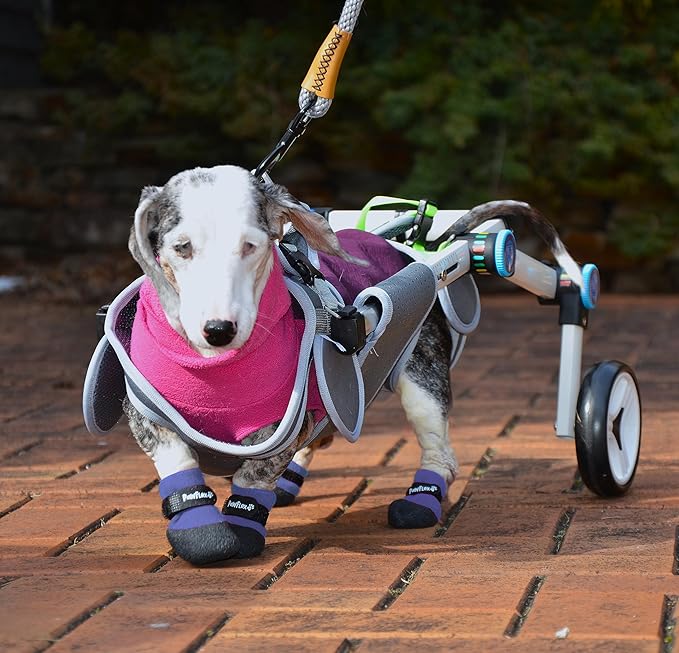 Double Dipped Thick Textured Waterproof Cotton Dog Socks | PawFlex Comfy Pawz Soft Indoor/Outdoor Pet Booties | Non-Slip Silicone Grip at Inner Wrist for No Twisting or Sliding Off| Adjustable Strap-PurrikoPets