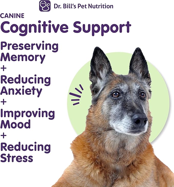 Dr. Bill’s Canine Cognitive Support | Memory Support Supplement Multivitamin for Dogs | Contains Gingko Biloba, L-Carnosine, Vitamin B-12, L-Glutamine, L-Tyrosine, and DHA for Adult and Senior Dog-PurrikoPets
